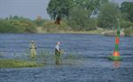 Angler an der Elbe