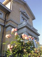 Rosen vor dem Giebel der Crato-Villa