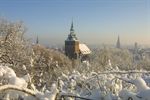 Winterlicher Blick vom Kalkberg auf die drei Kirchen der Stadt