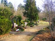 Friedhof Oedeme