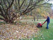 Beseitigung des Herbstlaubs im Kurpark